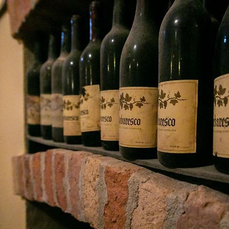 Ca Trifolera Barbaresco - Romantico Cascinale Con Antica Cantina Nel Cuore Delle Langhe - Degustazione Vini Nella Nostra Cantina Luaran gambar