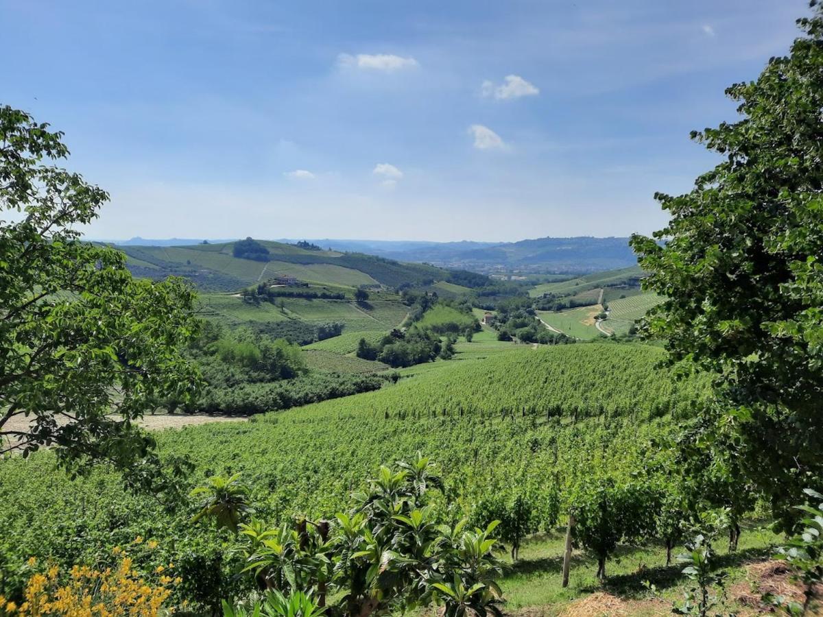 Ca Trifolera Barbaresco - Romantico Cascinale Con Antica Cantina Nel Cuore Delle Langhe - Degustazione Vini Nella Nostra Cantina Luaran gambar