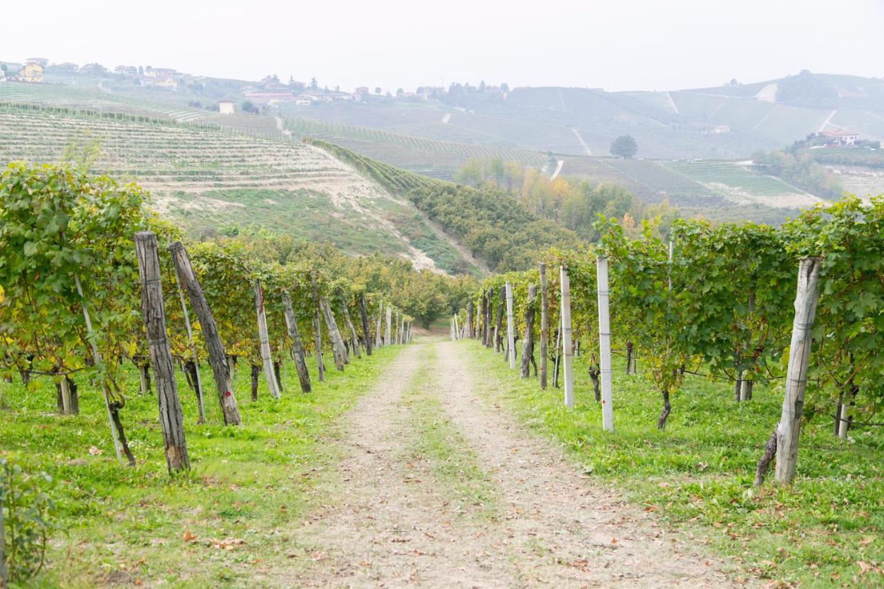 Ca Trifolera Barbaresco - Romantico Cascinale Con Antica Cantina Nel Cuore Delle Langhe - Degustazione Vini Nella Nostra Cantina Luaran gambar