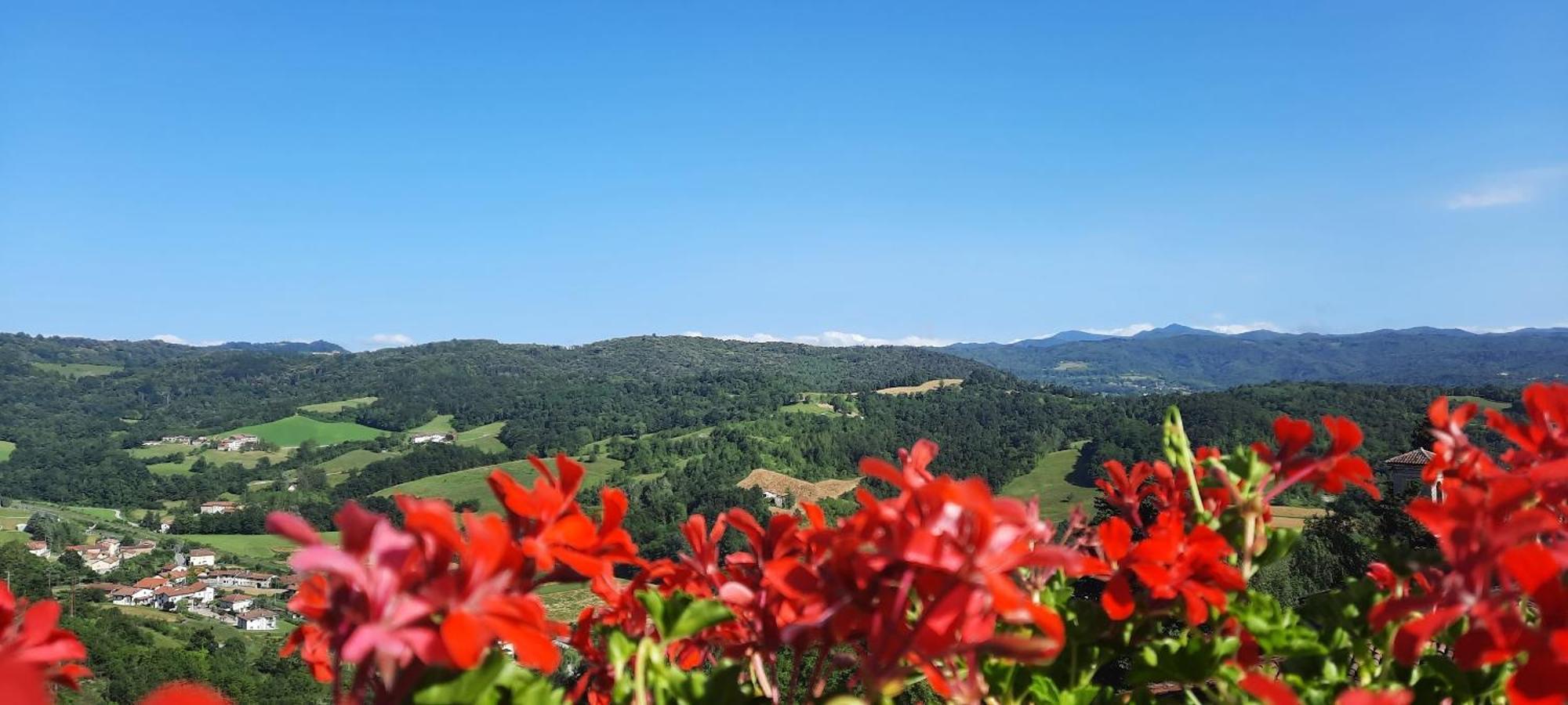 Ca Trifolera Barbaresco - Romantico Cascinale Con Antica Cantina Nel Cuore Delle Langhe - Degustazione Vini Nella Nostra Cantina Luaran gambar