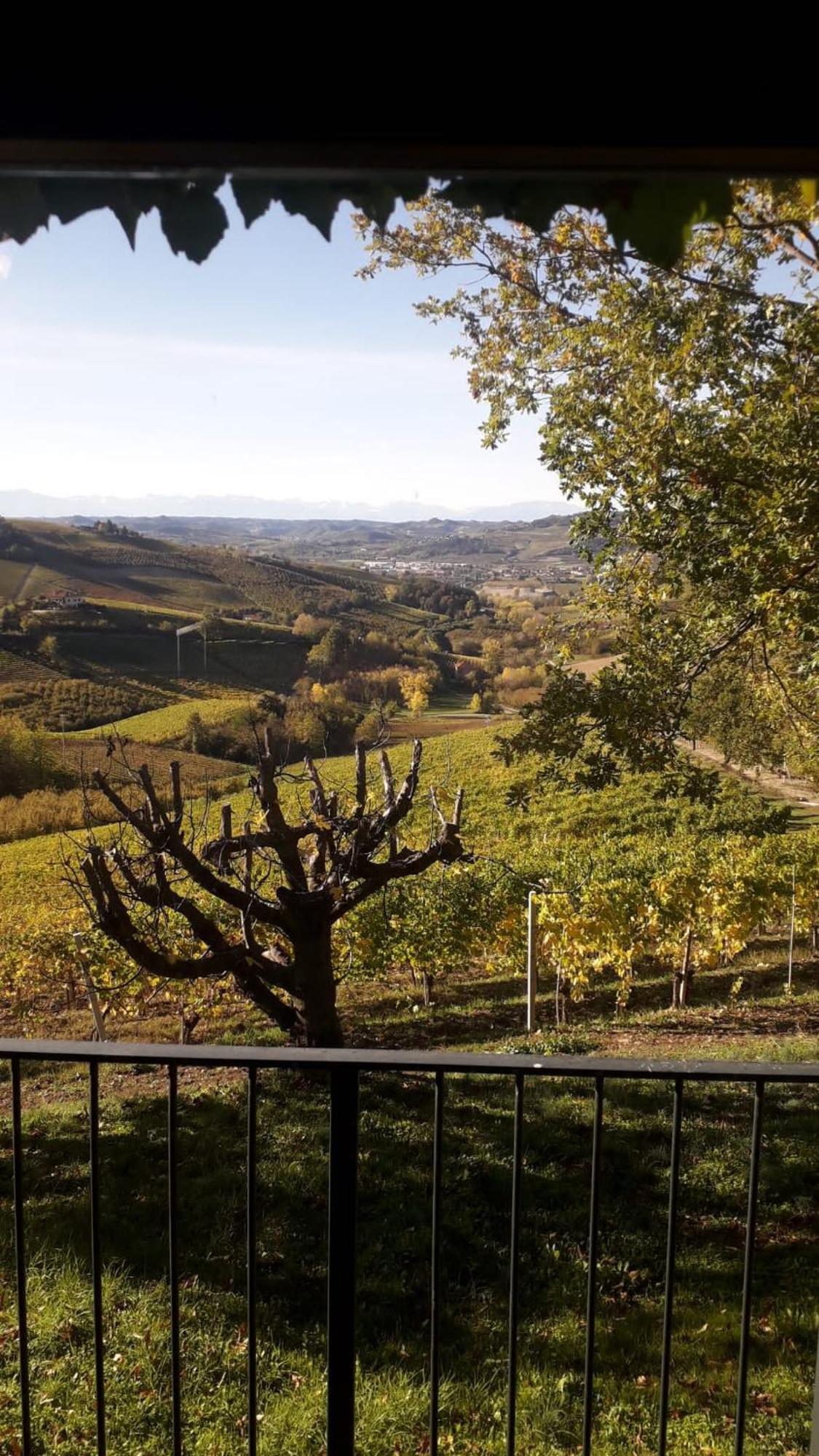 Ca Trifolera Barbaresco - Romantico Cascinale Con Antica Cantina Nel Cuore Delle Langhe - Degustazione Vini Nella Nostra Cantina Luaran gambar
