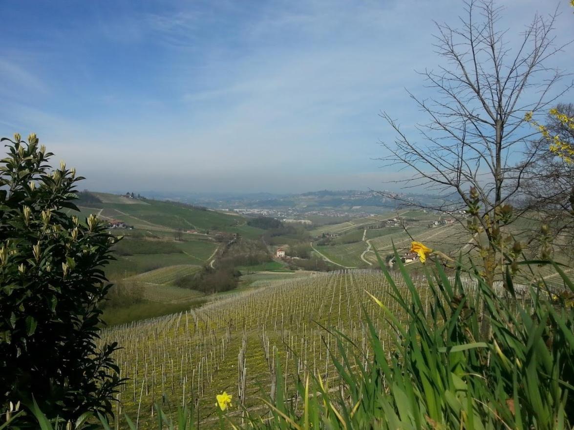 Ca Trifolera Barbaresco - Romantico Cascinale Con Antica Cantina Nel Cuore Delle Langhe - Degustazione Vini Nella Nostra Cantina Luaran gambar