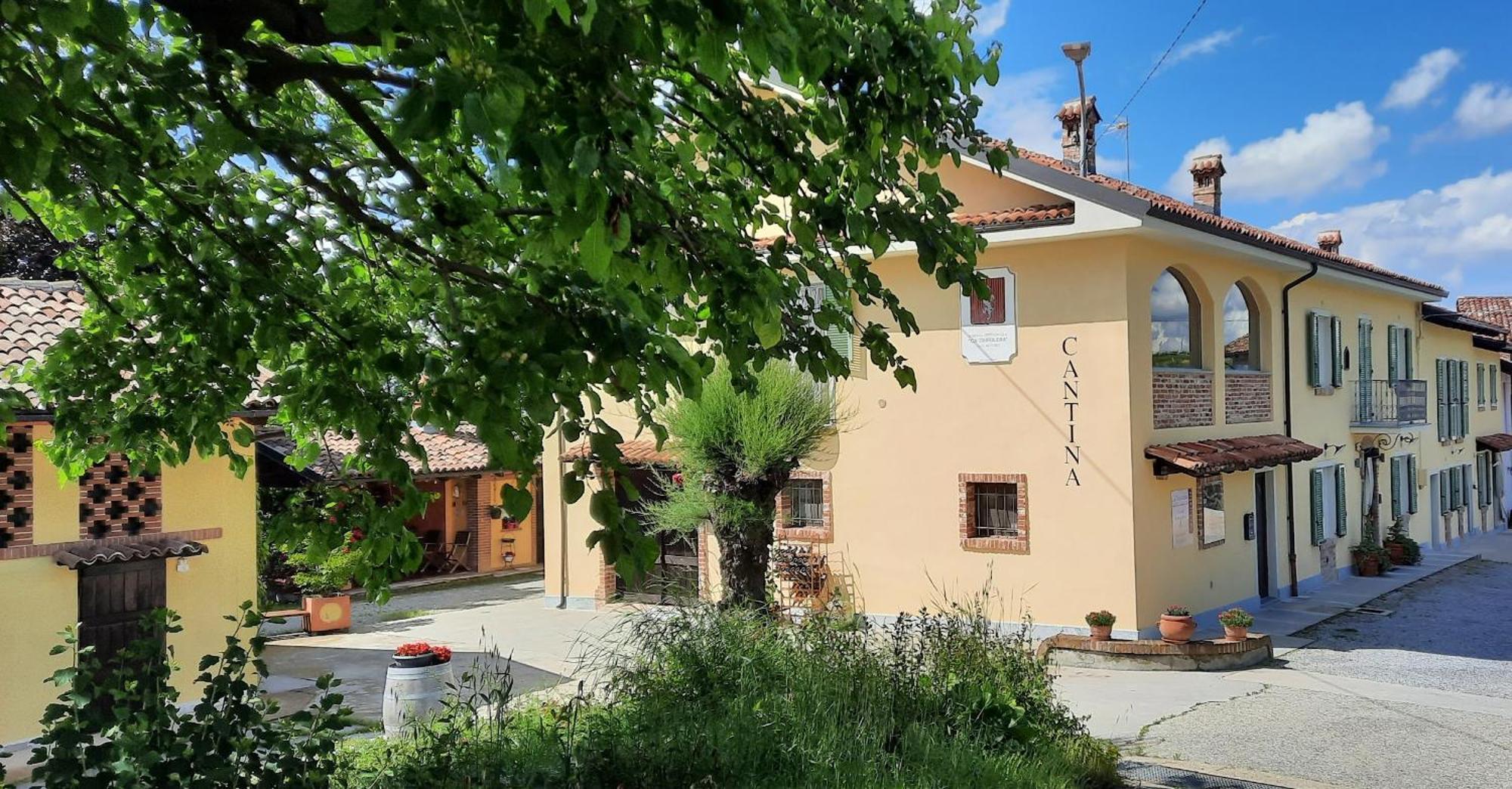 Ca Trifolera Barbaresco - Romantico Cascinale Con Antica Cantina Nel Cuore Delle Langhe - Degustazione Vini Nella Nostra Cantina Luaran gambar