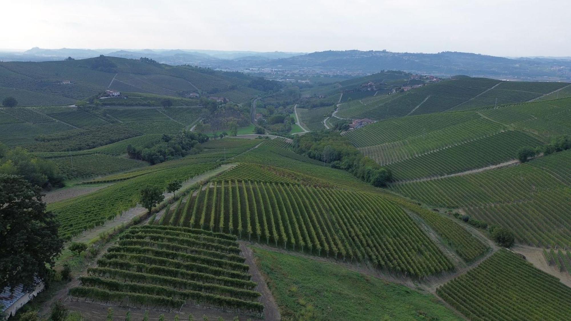Ca Trifolera Barbaresco - Romantico Cascinale Con Antica Cantina Nel Cuore Delle Langhe - Degustazione Vini Nella Nostra Cantina Luaran gambar