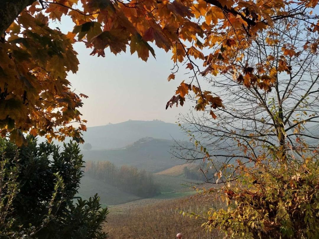 Ca Trifolera Barbaresco - Romantico Cascinale Con Antica Cantina Nel Cuore Delle Langhe - Degustazione Vini Nella Nostra Cantina Luaran gambar
